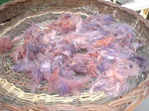 Laine des Alpes : Laine angora