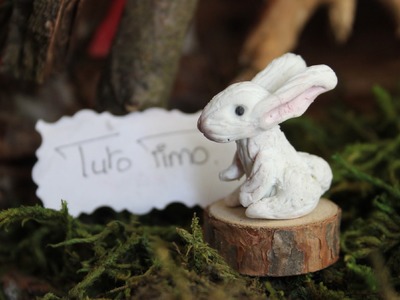 [♥✿ Tuto Fimo : Lapin.lièvre ✿♥] ~ [♥✿ Polymer Clay Tutorial : Rabbit.bunny ✿♥]