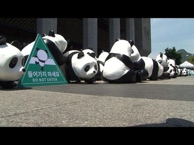 Insolite: 1.600 pandas en papier mâché à Séoul