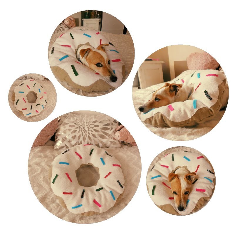 [ DIY ] Coussin Donut. Donut pillow