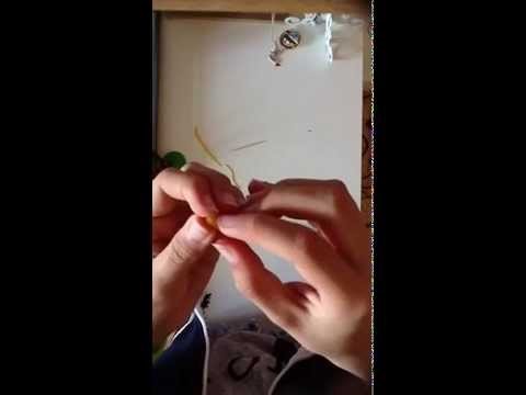 Tuto fimo: cerisier japonais et sa chibi. polymer clay tutorial