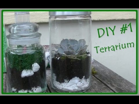 DIY #1 Terrarium fleuri