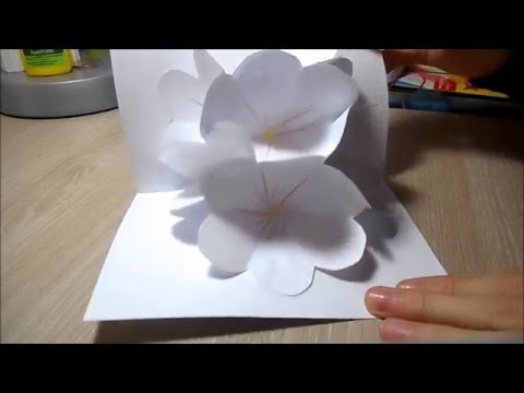 DIY:Carte Pop-up Bouquet de Fleurs