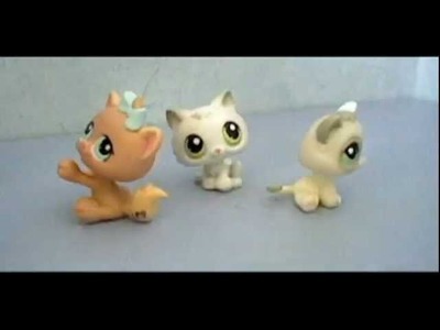 LPS : Stop-Motion