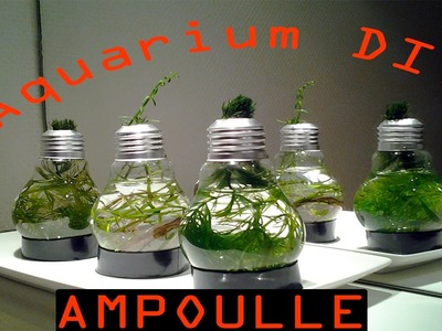 Aquarium en forme d'ampoule DIY