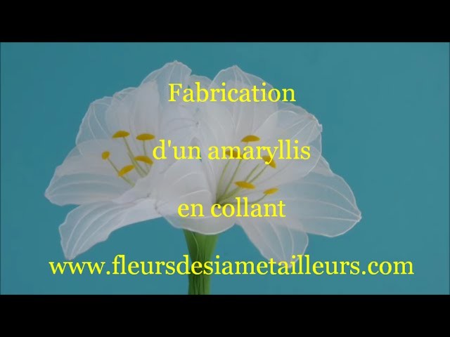 Fabrication d'un amaryllis en collant. How to make a nylon amaryllis