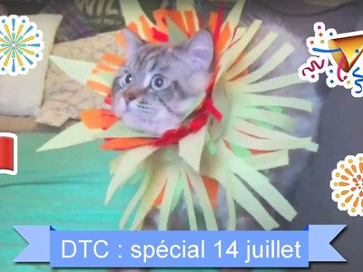 [DTC 9] DIY Transforme ton chat en feu d'artifice du 14 juillet - Décore Ton Chat