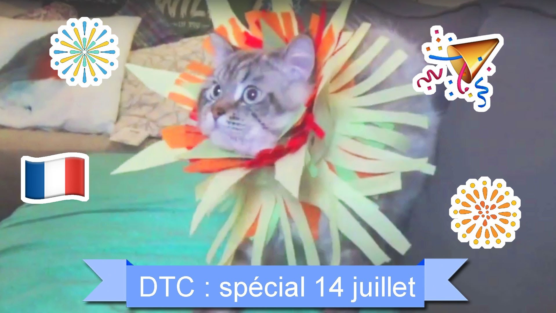 [DTC 9] DIY Transforme ton chat en feu d'artifice du 14 juillet - Décore Ton Chat