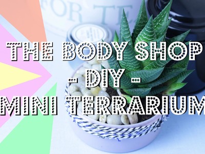 The Body Shop. DIY Mini Terrarium