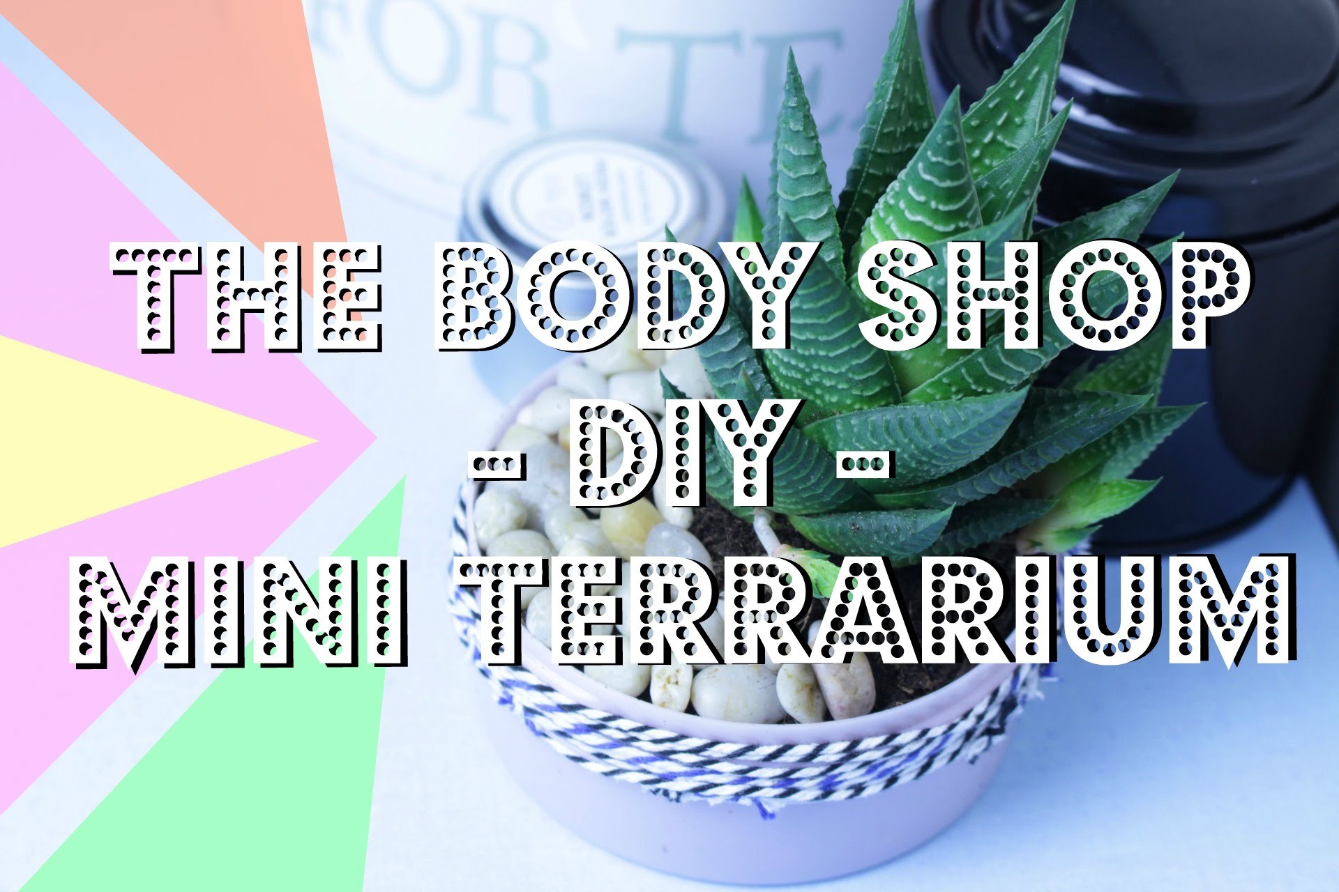 The Body Shop. DIY Mini Terrarium