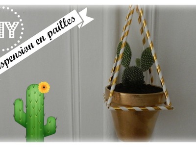 DIY : Une envie de suspendre mes plantes avec des PAILLES !!!