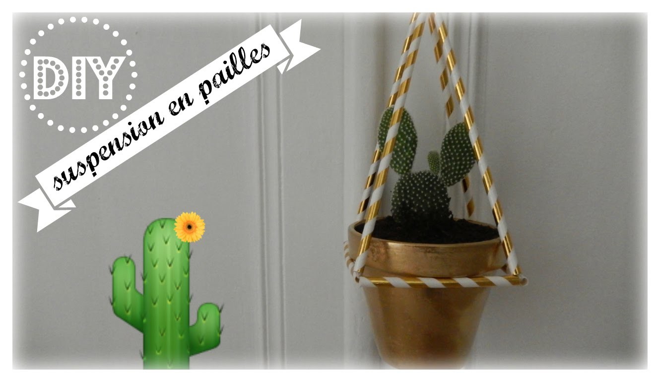 DIY : Une envie de suspendre mes plantes avec des PAILLES !!!