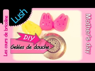 DIY, gelées de douche, Façon Lush, (- 5€)