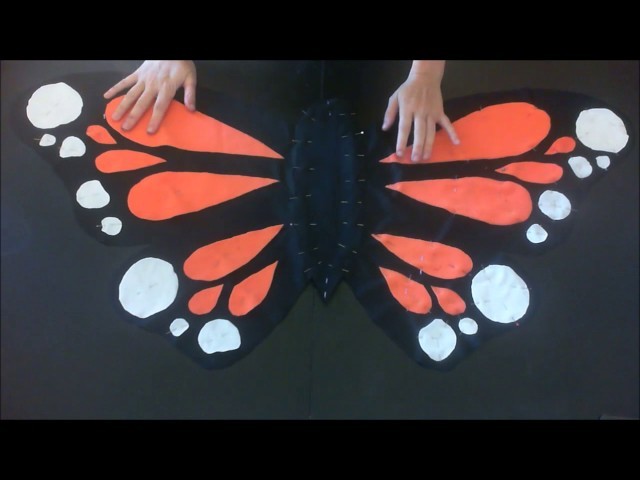 {DIY} costume express de papillon - Express costume of butterfly
