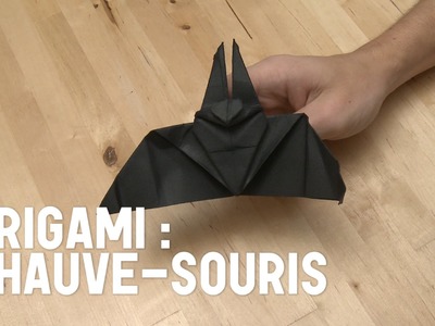 Chauve-souris