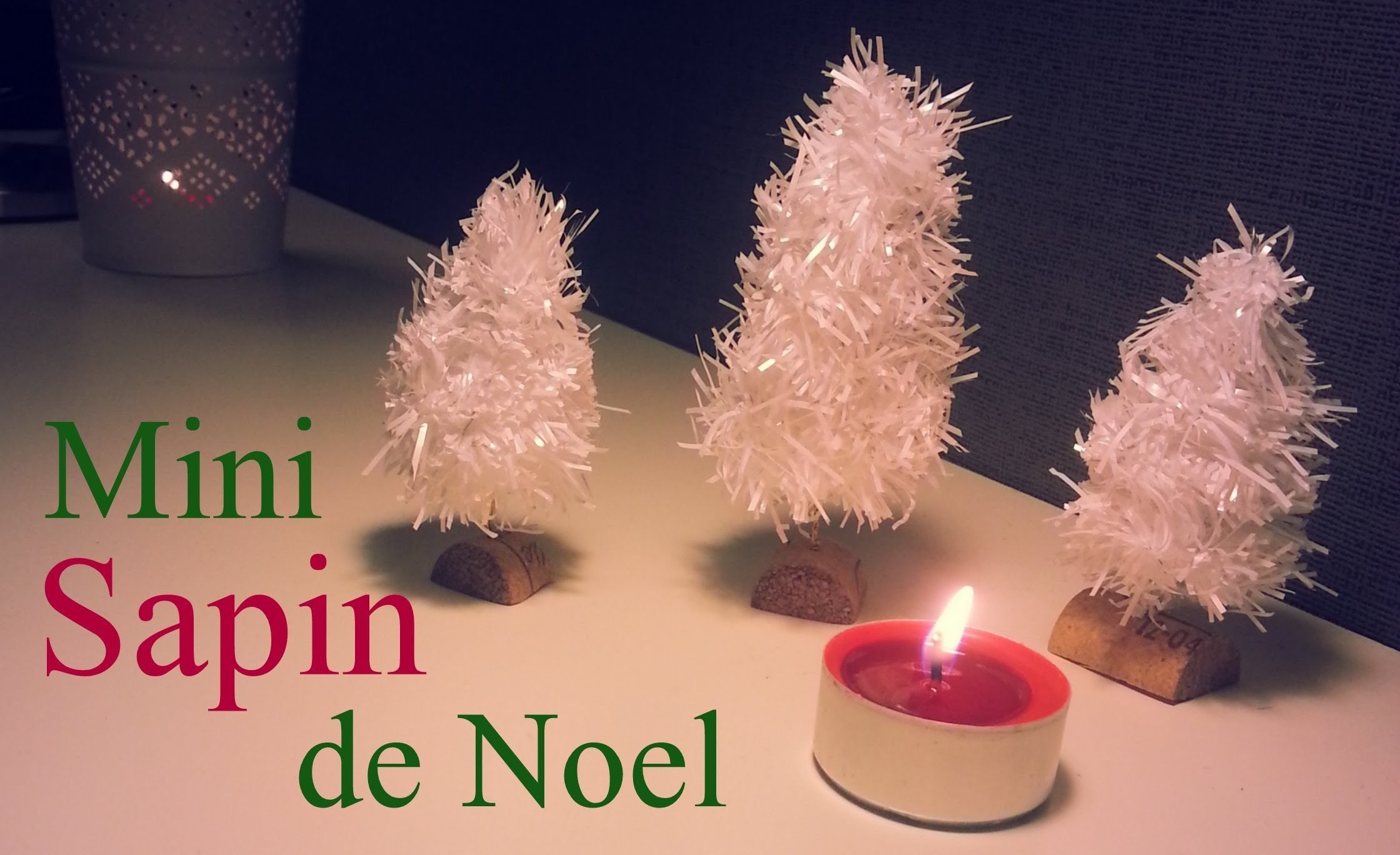 Création D.I.Y Sapins miniatures décoration table de Noel