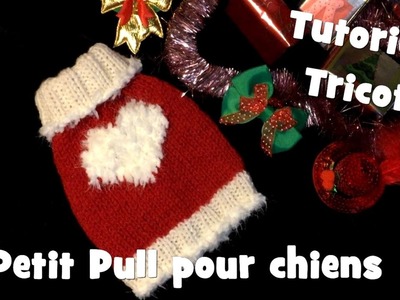 Tutoriel Tricot: Petit Pull Coeur Blanc pour chiens - Knitting Dog Sweater