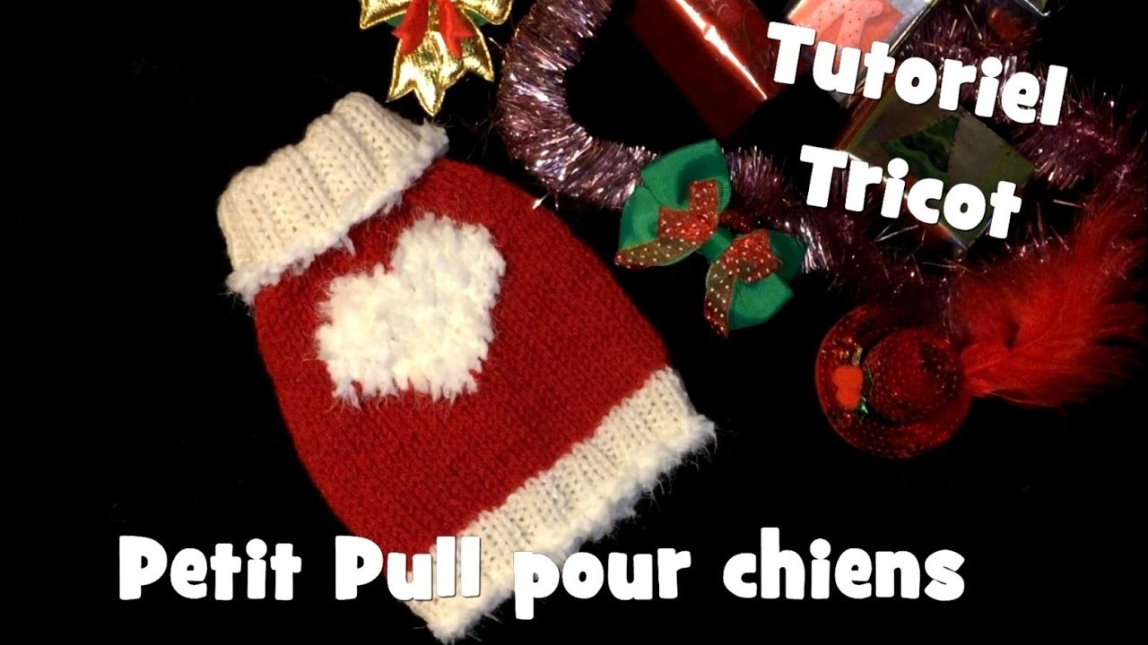 Tutoriel Tricot: Petit Pull Coeur Blanc pour chiens - Knitting Dog Sweater