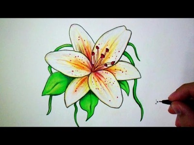 Comment dessiner une fleur de Lys [Tutoriel]