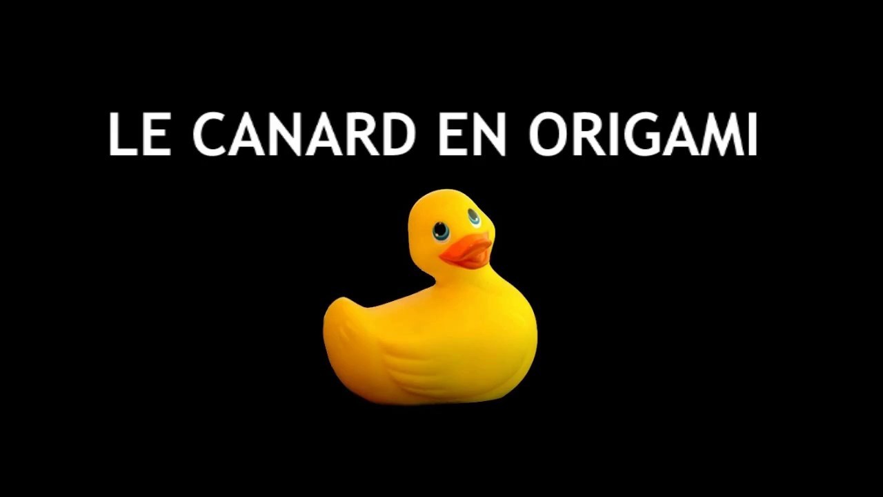 ORIGAMI : LE CANARD