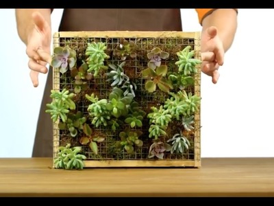 Tuto pour fabriquer votre cadre végétal avec JARDILAND #DIY