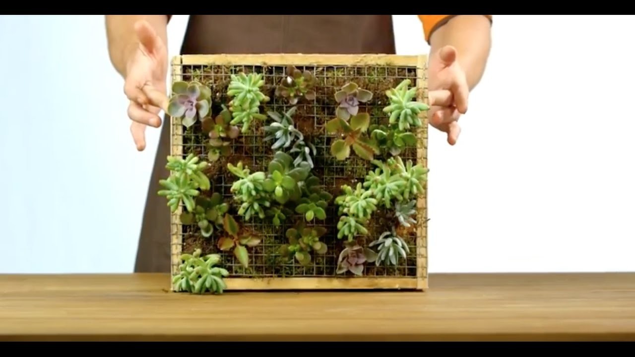 Tuto pour fabriquer votre cadre végétal avec JARDILAND #DIY
