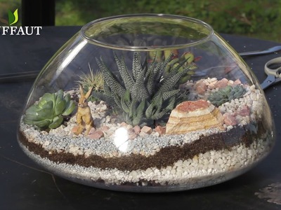 DIY déco : terrarium de cactus et plantes grasses - Jardinerie Truffaut TV