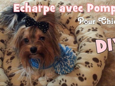 DIY Tricot: Echarpe avec Pompon pour chiens