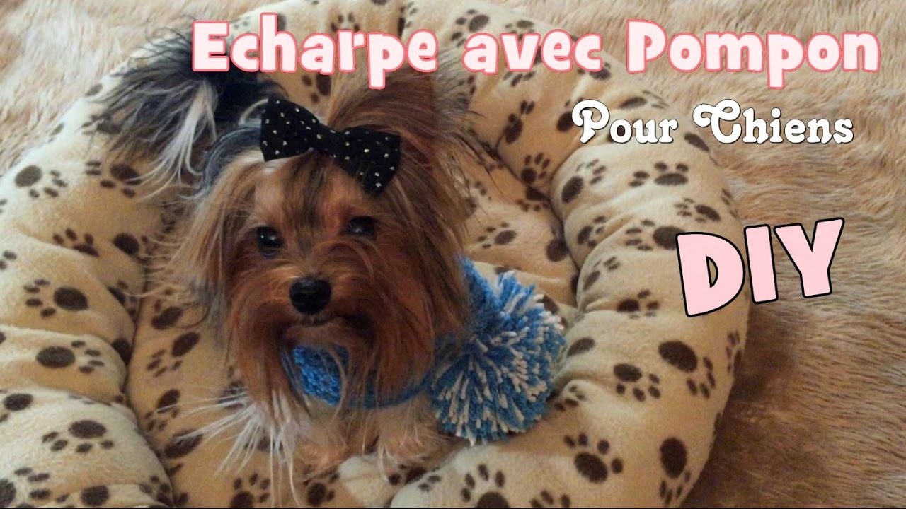DIY Tricot: Echarpe avec Pompon pour chiens