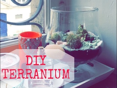 DIY terranium facile. حديقة مصغرة بنباتات الصبار
