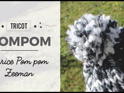 Tuto Pompom - Darice Pom pom Zeeman -  DIY