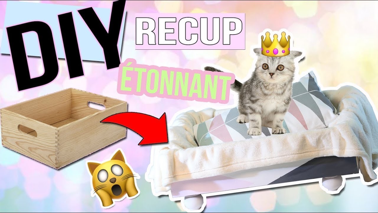 DIY DECO┋ UN LIT AVEC UN TIROIR !! ???? ???  POUR CHAT. CHIEN FACILE - RECUP - scandinave dog cat bed