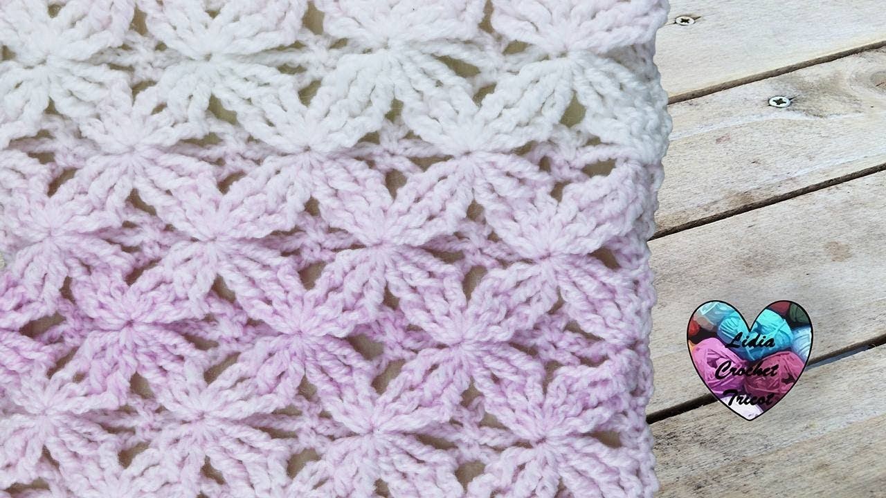 Point crochet fleurs en relief splendide
