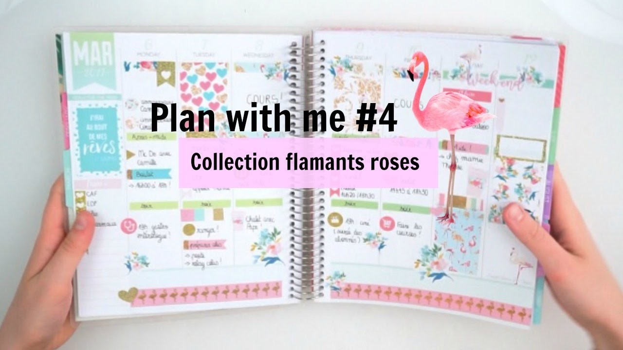 Plan with me #4 - Collection flamants roses ✍????