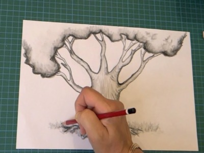 Comment dessiner un arbre étape par étape