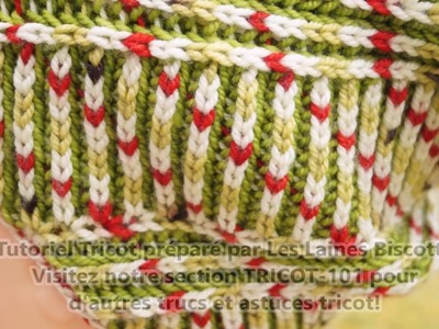 Comment tricoter le point Brioche Bicolore en rond