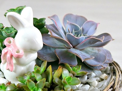 DIY - Le jardin de succulentes du Lapin | tutoriel facile de succulentes décoration pour Pâques #2