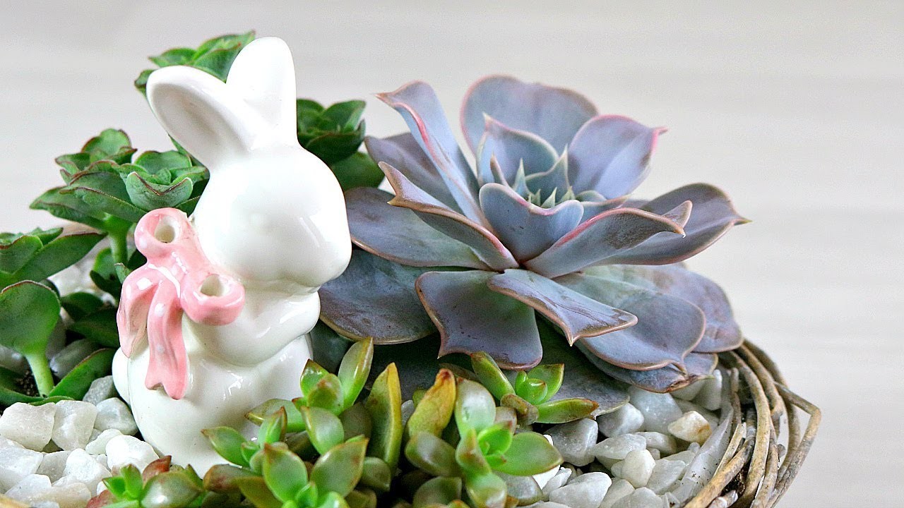 DIY - Le jardin de succulentes du Lapin | tutoriel facile de succulentes décoration pour Pâques #2