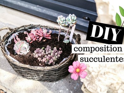 DIY composition de succulentes | tribulationsdanais