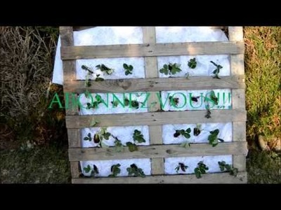 DIY: Mur Végétal avec Palette