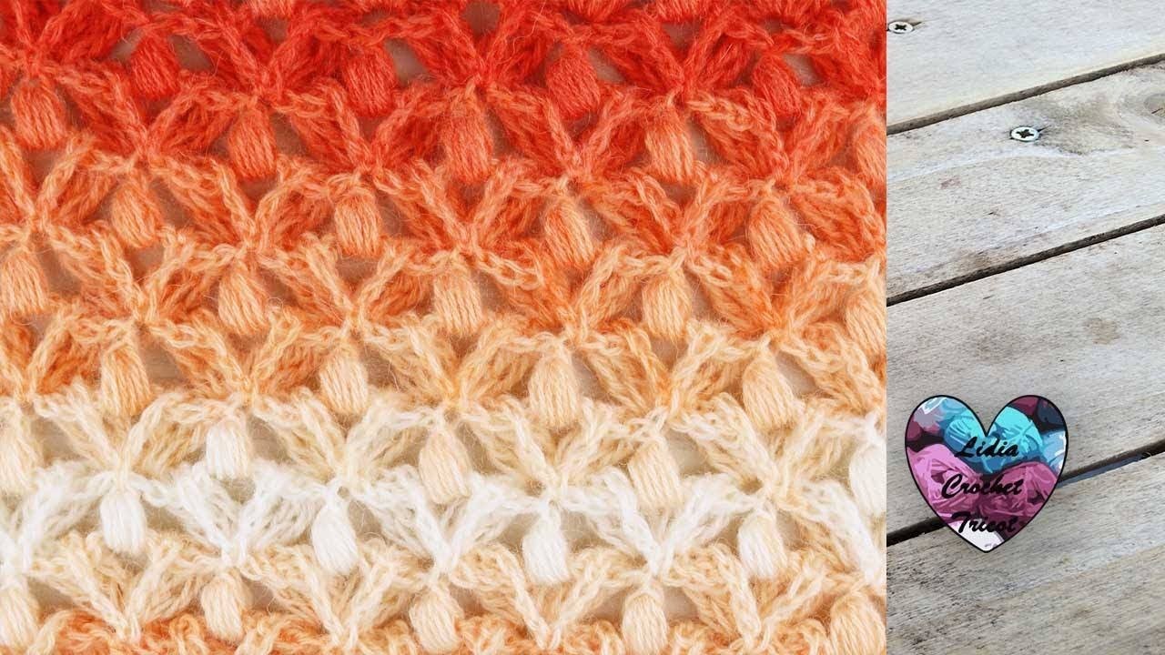 Point crochet petites fleurs en relief "Lidia Crochet Tricot"