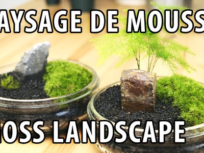 Comment créer un paysage miniature de mousse - Bonsaï