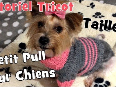 DIY Tricot: Petit Pull pour chiens de' 3,2 kg à 4 kg (taille 6) Tutoriel