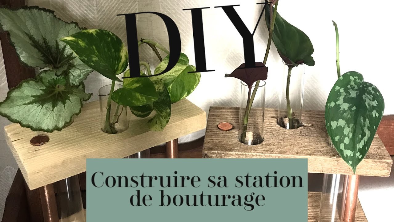 DIY - CONSTRUIRE UNE STATION DE BOUTURAGE