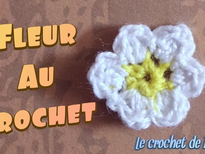 Tuto Modèle de fleur au crochet Facile en français - 6 pétales ????