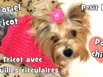 Tutoriel Tricot: Pull pour chiens avec aiguilles circulaires