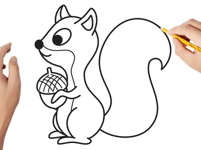 Comment dessiner un écureuil