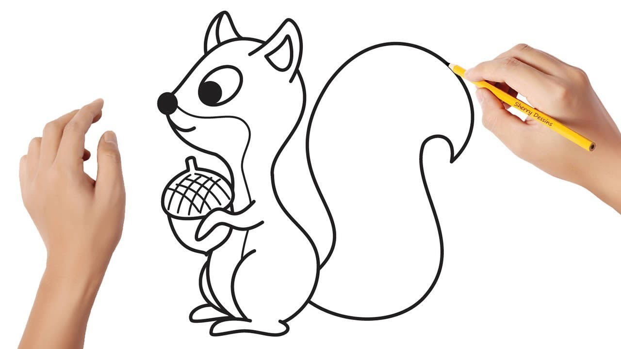 Comment dessiner un écureuil