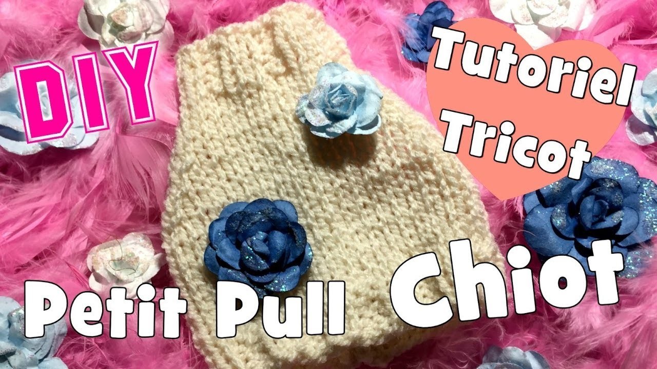 DIY Tricot: Petit Pull pour Chiot Tutoriel