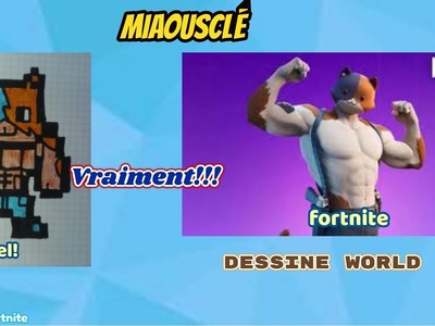 Pixel art skin Fortnite.partie 3 ( skin Miaousclé)